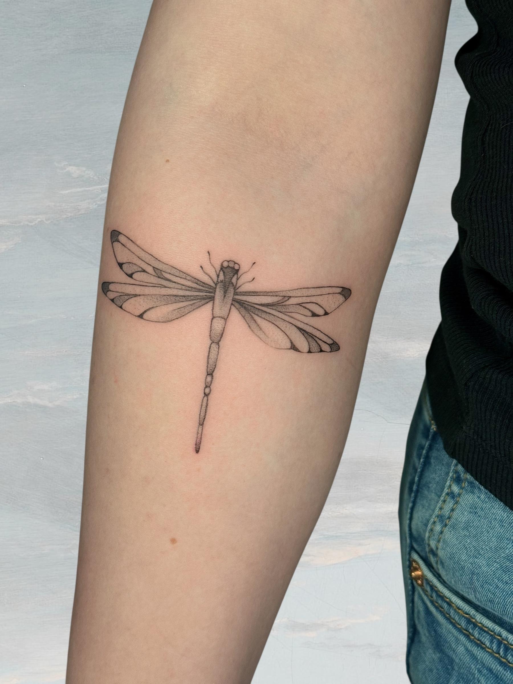 dragonfly