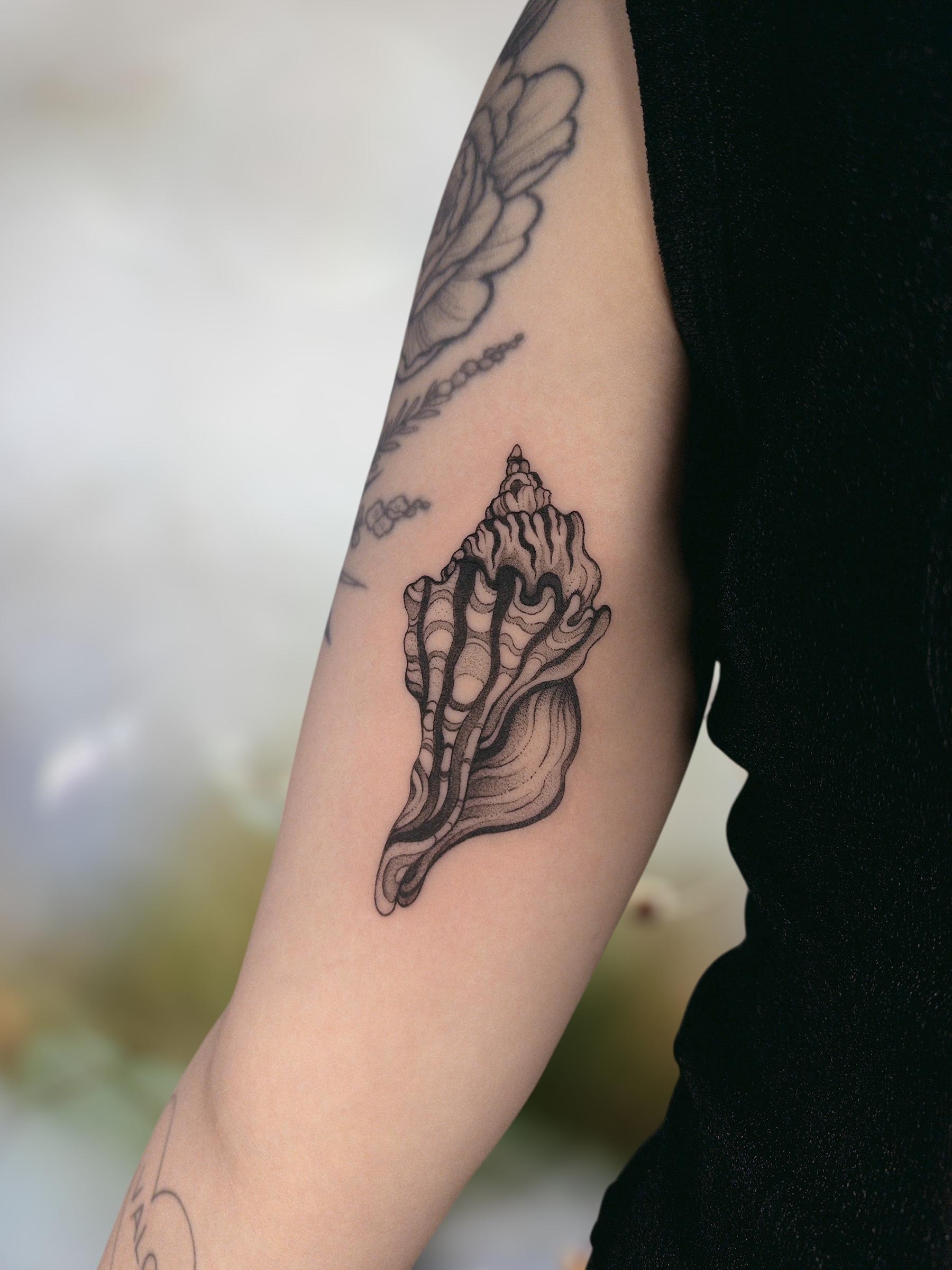 bigger black er seashell